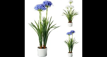 Kunstplant Agapanthus 50x80 cm Blauw/Wit Assorti