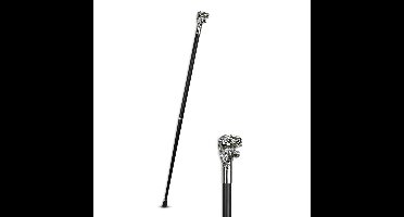 AN ALUMINIUM WALKING STICK