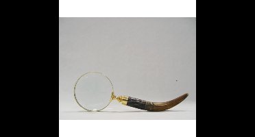 A MAGNIFYING-GLASS