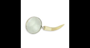 A MAGNIFYING-GLASS