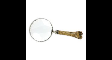 A MAGNIFYING GLASS