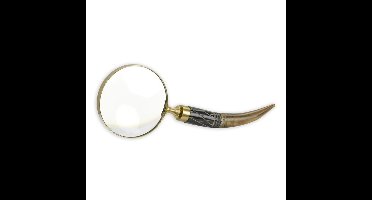 A MAGNIFYING-GLASS