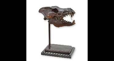 A BRONZE SCULPTURE OF A DIRE WOLF SKULL ON A MARBLE BASE