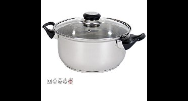 Braadpan stoofpan met deksel Ø 24cm RVS geschikt voor alle warmtebronnen 4 L