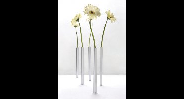 Peleg Design Magnetische vazen - zilver - set van 5 stuks
