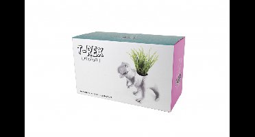 Gift Republic Dinosaur Planter - Gift Republic Dinosaur Planter