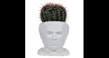 UPG Planter - Frida Kahlo
UPG Planter - Frida Kahlo