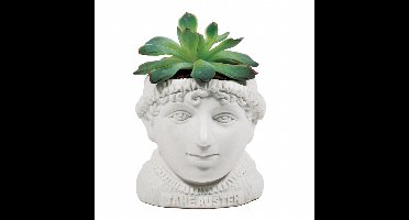 UPG Planter - Jane Austen
UPG Planter - Jane Austen