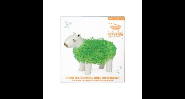 Gift Republic plantenpot met chiazaden - capibara