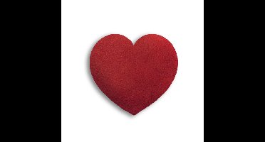 Leschi Warmtekussen Hart S - Rood