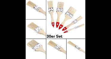 30-delige Verfkwast-set - 5 verschillende maten