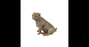 BRONZEN ZITTENDE MOPSHOND