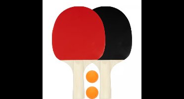 Avento Team Up set Tafeltennis Batje