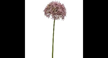 Allium/Sierui kunstbloem - losse steel - lila - 62 cm - Natuurlijke uitstraling