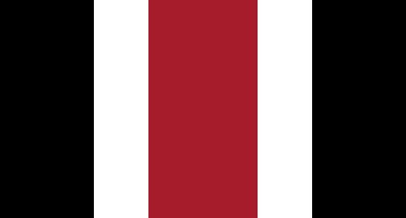 Duni Tafelkleed/tafellaken - herbruikbaar - rood - 138 x 220 cm - Dunisilk+