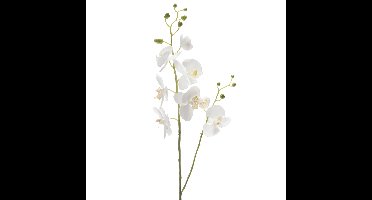 Emerald Kunstbloem Orchidee - 95 cm - wit - losse tak - kunst zijdebloem - Phalaenopsis