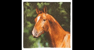 Esschert design papieren servetten - 20x - paard - 33 x 33 cm
