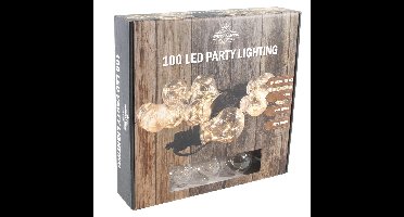 Feestverlichting warm wit met 10 gloeilampjes 4,5 meter