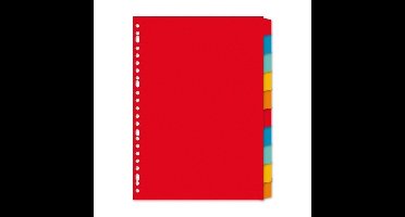 Gekleurde tabbladen A4 met 300 tabs