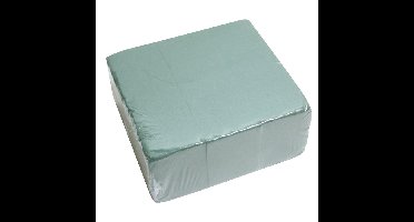 HBX Natural Living steekschuim/oase - set 3x st - groen - L20 x B10 x H7,5 cm- rechthoekig