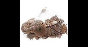 Hobbymateriaal schelpen 350 gram bruin