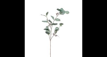 Kunstbloem Eucalyptus tak - 73 cm - groen - losse steel - Kunst zijdebloemen