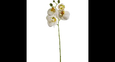 Kunstbloem Orchidee - 56 cm - wit - losse tak - kunst zijdebloem - Phalaenopsis