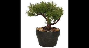 Kunstplant bonsai boompje in pot - Japans decoratie - 19 cm - Type Needle