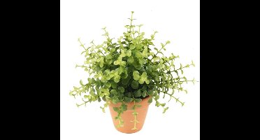 Kunstplant eucalyptus - groen - in terracotta pot - 20 cm