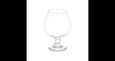 Likeur glazen - 6x stuks -?glas - 500 ml - borrelglas