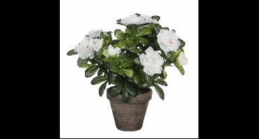Mica Decorations Kunstplant - Azalea - groen/wit - 27 cm - Met mooie bloemen