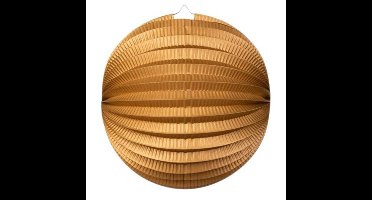 Treklampion - metallic goud - papier - rond - D23cm - decoratie - Sint Maarten