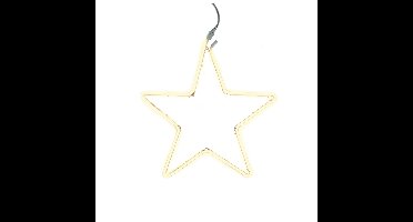 Verlichte neon ster/kerstster decoratie 200 lampjes warm wit 54 cm