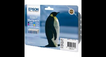 T559740 (C13T55974010)