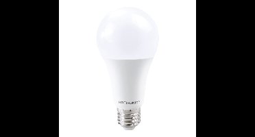 E27 LED Lamp - 15 Watt 1521 lumen - 2700K Warm wit licht - Grote fitting - Vervangt 100 Watt