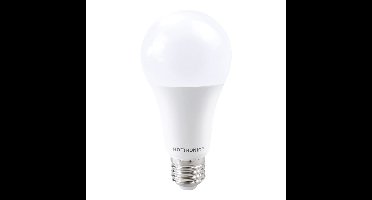 E27 LED Lamp - 15 Watt 1521 lumen - 4000K Neutraal wit licht - Grote fitting - Vervangt 100 Watt