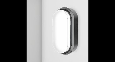 C-Series - LED Plafondlamp zwart ovaal - Wandlamp - Scheepslamp - IP54 - 12W 1160lm - 6500K Daglicht wit - voor binnen en buiten