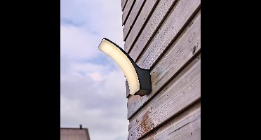 Jargo LED Wandlamp Zwart Modern - CCT lichtkleur instelbaar - 11 Watt 980 lumen - IP44 waterdicht - Buitenlamp