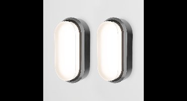 Set van 2 C-Series - LED Plafondlamp zwart ovaal - Wandlamp - Scheepslamp - IP54 - 12W - 1160lm - 4000K neutraal wit - voor binnen en buiten