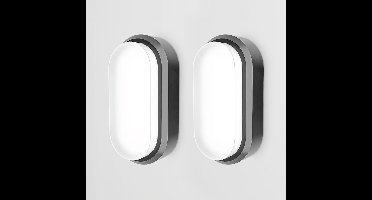 Set van 2 C-Series - LED Plafondlamp zwart ovaal - Wandlamp - Scheepslamp - IP54 - 18 Watt - 1830lm - 6500K Daglicht wit - voor binnen en buiten