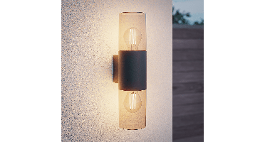 Blaze - LED Wandlamp - Up & Down light - E27 Fitting - IP44 Waterdicht - Smokey glas