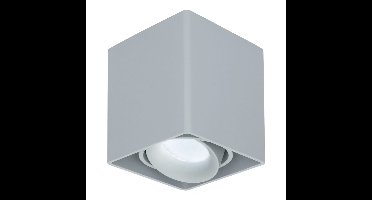 Vierkante LED Opbouwspot Esto - Kantelbaar - Dimbaar - 6500K daglicht wit - 4 Watt 345 Lumen- GU10 - Plafondspot - Voor binnen - Vervangbare afdekring - Grijs