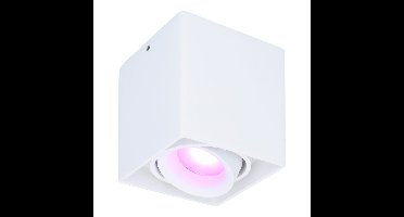 Esto smart Opbouwspot - Vierkant - Plafondspot - Kantelbaar - RGBWW - Wifi + Bluetooth - Google Home, Amazon Alexa en Siri - Wit - Bestuurbaar via App en Stem