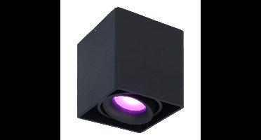 Esto smart Opbouwspot - Plafondspot - Kantelbaar - RGBWW - Wifi + Bluetooth - Google Home, Amazon Alexa en Siri - Zwart - Bestuurbaar via App en Stem