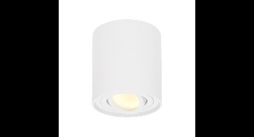 Ronde LED Opbouwspot Ray - 4 Watt 345 lumen - 2700K warm wit - Kantelbaar - GU10 - Opbouwspot - IP20 Voor binnen - Wit - Dimbaar