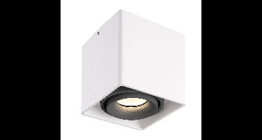 Dimbare LED Opbouwspot plafond Esto - Wit met grijze afdekring - IP20 - kantelbaar - excl. GU10 lichtbron - voor droge ruimtes