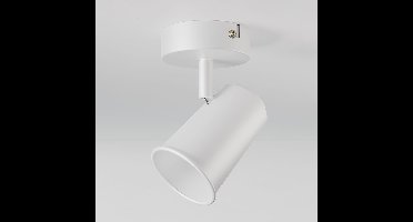 Riga - LED plafondlamp - Draaibaar en dimbaar - GU10 - Kantelbaar - Plafondspot - IP20 voor binnen - Wit