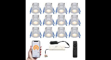 Set van 12 Milano Smart LED Mini Inbouwspots - Veranda spots - 12V 3W 200lm - Dimbaar - Wifi & Bluetooth - 2700K - IP65 waterdicht - RVS