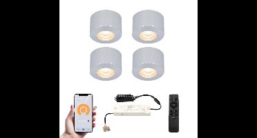 Set van 4 Navarra Smart LED Mini opbouwspots - Veranda spots - 12V 3W 200lm - Dimbaar - Wifi & Bluetooth - 2700K - IP44 waterdicht - RVS