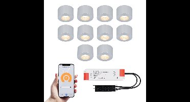 Set van 10 Navarra Smart LED Mini opbouwspots - Veranda spots - 12V 3W 200lm - Dimbaar - Wifi & Bluetooth - 2700K - IP44 waterdicht - RVS